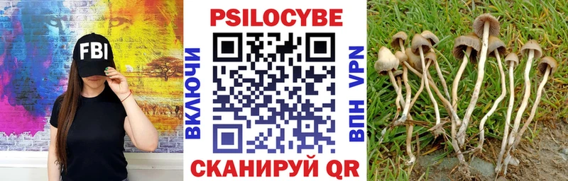 Галлюциногенные грибы мухоморы Купить Ак-Довурак